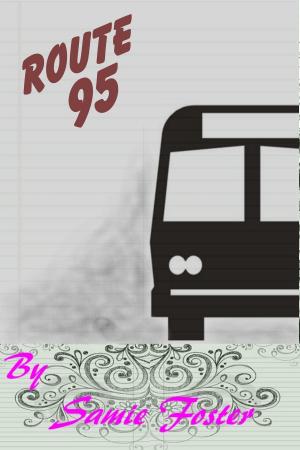 bigCover of the book Route 95 by 