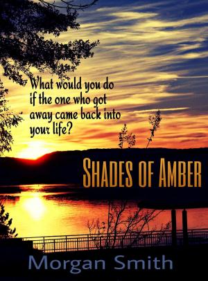 Cover of the book Shades of Amber by Amy Sparks