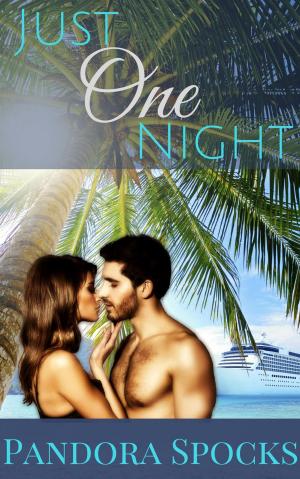 Cover of the book Just One Night by Drew Sinclair