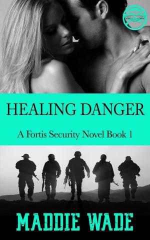 Cover of the book Healing Danger by Stephanie Nelson