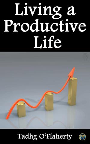 Cover of the book Living a Productive Life by Timo Kiander