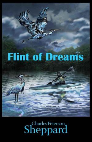 bigCover of the book Flint of Dreams by 