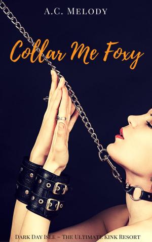 Cover of the book Collar Me Foxy by Karina McKinley
