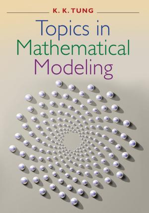 Cover of the book Topics in Mathematical Modeling by François Bourguignon, François Bourguignon