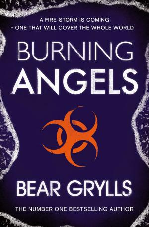 bigCover of the book Burning Angels by 