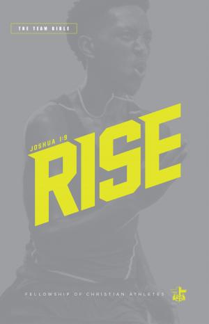 Cover of the book Team Bible: Rise Edition by Moira Martingale