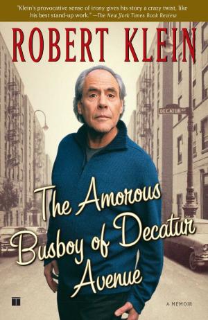 bigCover of the book The Amorous Busboy of Decatur Avenue by 