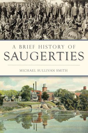 Cover of the book A Brief History of Saugerties by David R. Butler