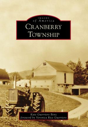 Cover of the book Cranberry Township by Christina Cox