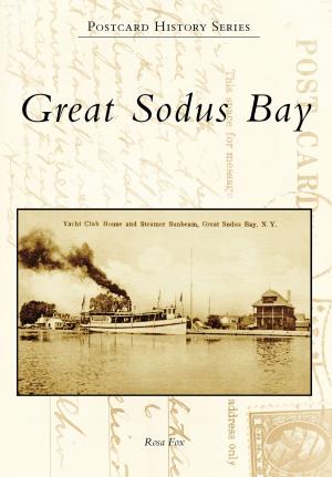 Cover of the book Great Sodus Bay by Robert Bloomberg, Daniel Bird