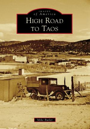 Book cover of High Road to Taos