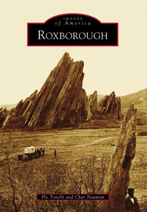 Cover of the book Roxborough by David H. Steinberg, Chattanooga Choo Choo