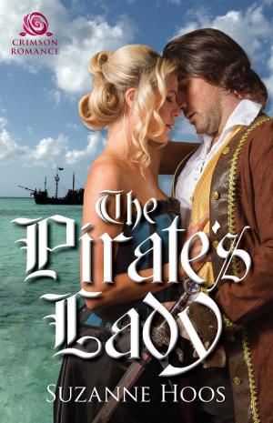 Cover of the book The Pirate's Lady by Debra Kayn