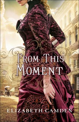 Cover of the book From This Moment by R.R. McCoy