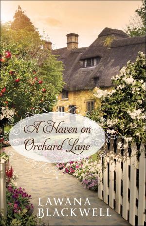 Cover of the book A Haven on Orchard Lane by Stanley E. Porter