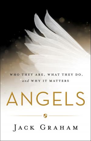 Cover of the book Angels by Maria Furlough