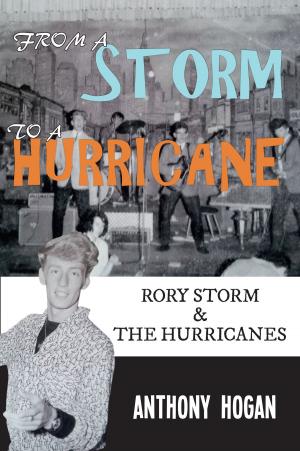 Cover of the book From a Storm to a Hurricane by Terry Garner