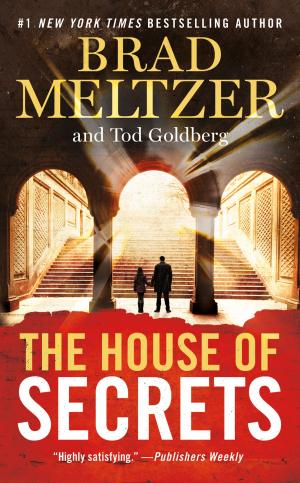 Cover of the book The House of Secrets by Archer Mayor