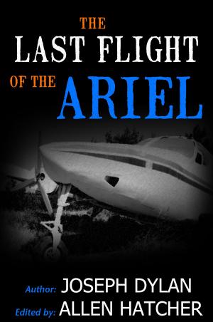 Book cover of The Last Flight of the Ariel