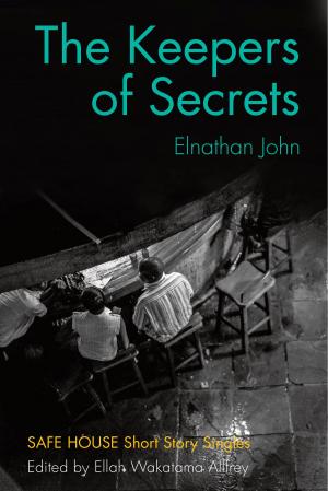 Cover of the book The Keepers of Secrets by Darian Lane