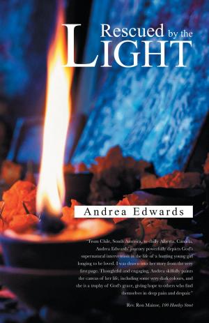Cover of the book Rescued by the Light by Miranda Rae Carter