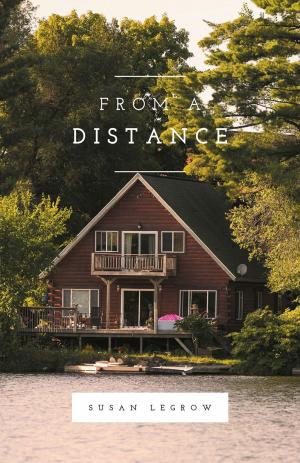 Cover of the book From a Distance by Sudhir Jain