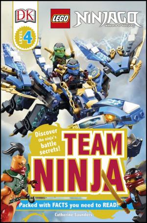 Cover of the book DK Readers L4: LEGO NINJAGO: Team Ninja by Steve Mould
