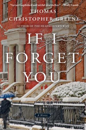 Cover of the book If I Forget You by Mindy Pennybacker