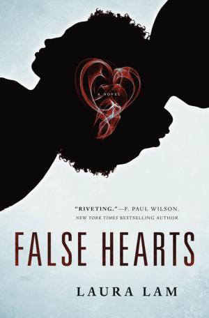 Cover of the book False Hearts by Jared Prophet