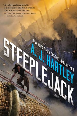 Book cover of Steeplejack