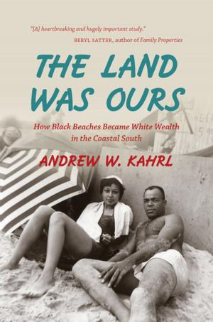 Cover of the book The Land Was Ours by Richard F. Hamilton