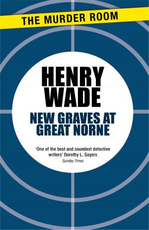 Cover of the book New Graves at Great Norne by Johnny Shepherd