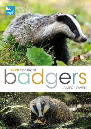 Cover of the book RSPB Spotlight: Badgers by Simon Jobson, Dominic Irvine
