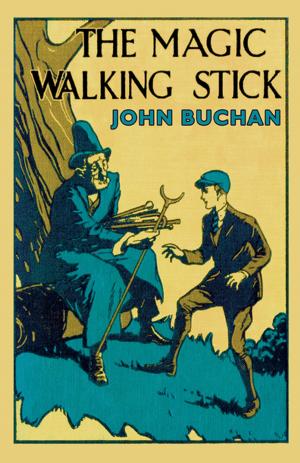 Book cover of The Magic Walking Stick