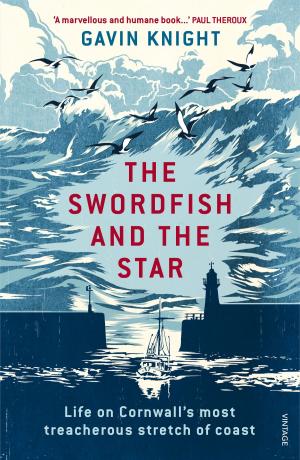bigCover of the book The Swordfish and the Star by 