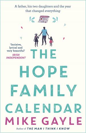 Cover of the book The Hope Family Calendar by Paul Jenner