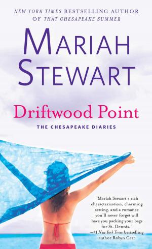 Cover of the book Driftwood Point by Harriet Evans