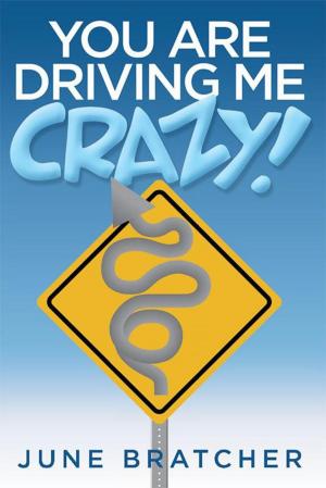 Book cover of You Are Driving Me Crazy!