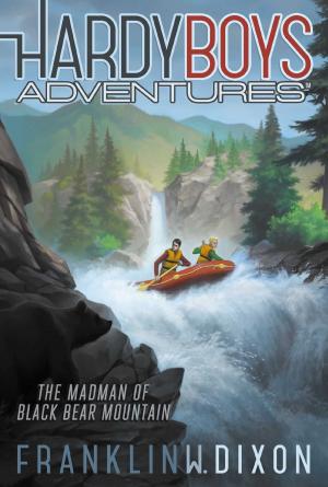 Cover of the book The Madman of Black Bear Mountain by Stephanie Faris