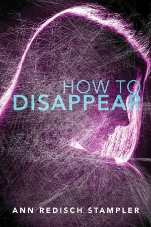 Cover of the book How to Disappear by Rowan Maness