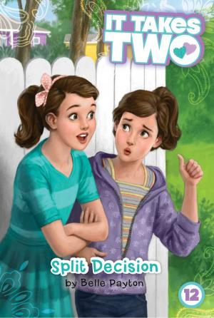 Cover of the book Split Decision by Maggie Testa