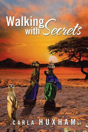 bigCover of the book Walking with Secrets by 