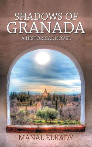 Cover of the book Shadows of Granada by Gideon Cebekhulu