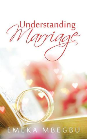 Cover of the book Understanding Marriage by Karel Oberholzer