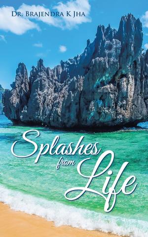 Cover of the book Splashes from Life by J. Dane Tyler