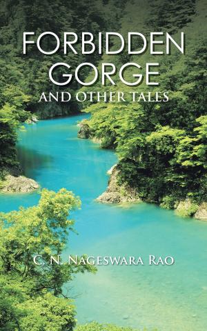 Cover of the book Forbidden Gorge by Anusua Chatterjee