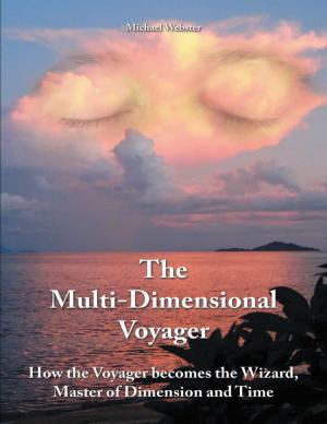Cover of the book The Multi-dimensional Voyager: How the Voyager Becomes the Wizard, Master of Dimension and Time by Peter B. Bos