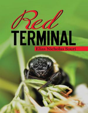 Cover of the book Red Terminal by David Gerspach