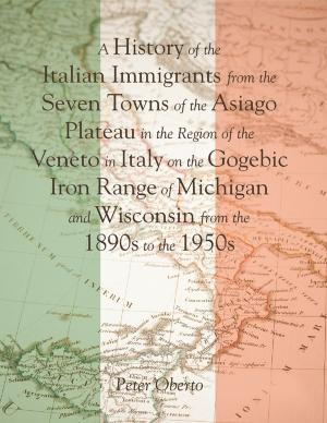 Cover of the book A History of the Italian Immigrants from the Seven Towns of the Asiago Plateau In the Region of the Veneto In Italy On the Gogebic Iron Range of Michigan and Wisconsin from the 1890s to the 1950s by Cathy Coley