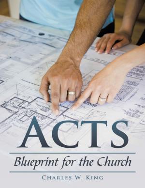 Cover of the book Acts by Bruce Bell